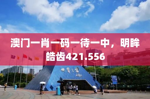 澳门一肖一码一待一中，明眸皓齿421.556