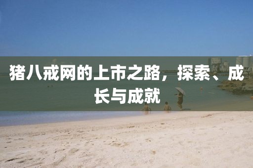 猪八戒网的上市之路，探索、成长与成就