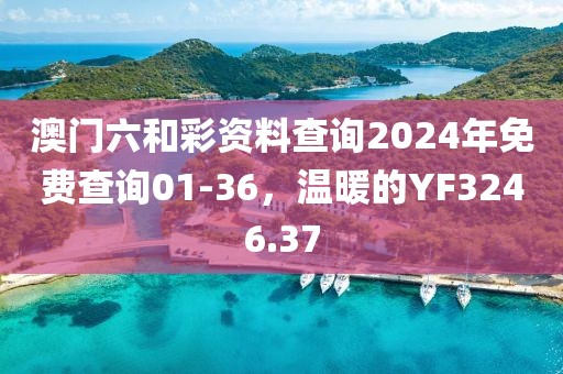 澳门六和彩资料查询2024年免费查询01-36，温暖的YF3246.37