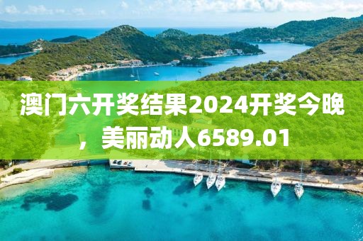 澳门六开奖结果2024开奖今晚，美丽动人6589.01
