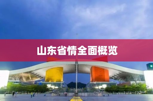 山东省情全面概览