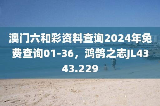 澳门六和彩资料查询2024年免费查询01-36，鸿鹄之志JL4343.229