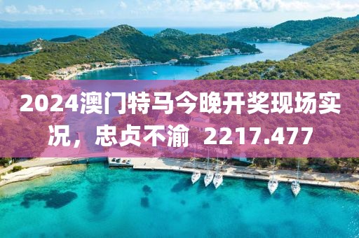 2024澳门特马今晚开奖现场实况，忠贞不渝  2217.477