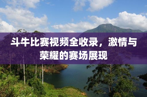 斗牛比赛视频全收录，激情与荣耀的赛场展现