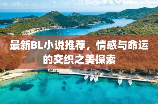 最新BL小说推荐，情感与命运的交织之美探索