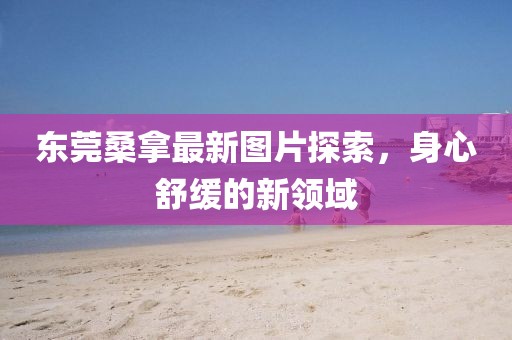 东莞桑拿最新图片探索，身心舒缓的新领域