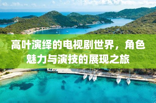 高叶演绎的电视剧世界，角色魅力与演技的展现之旅