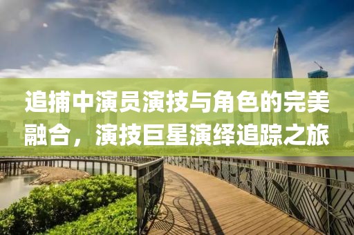 追捕中演员演技与角色的完美融合，演技巨星演绎追踪之旅