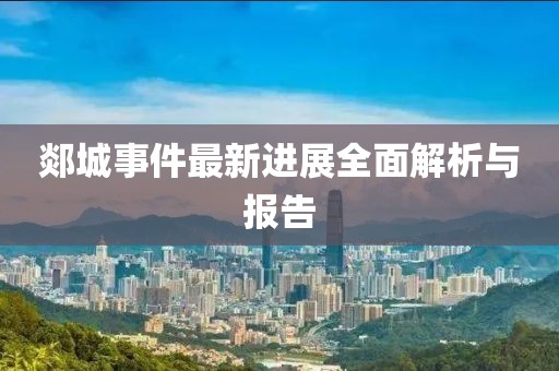 郯城事件最新进展全面解析与报告
