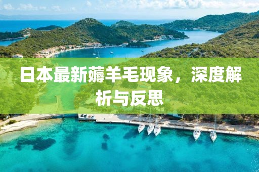 日本最新薅羊毛现象，深度解析与反思