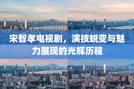 宋智孝电视剧，演技蜕变与魅力展现的光辉历程