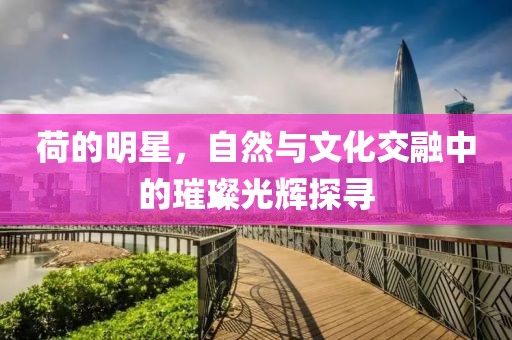 荷的明星，自然与文化交融中的璀璨光辉探寻