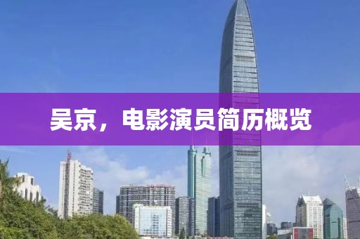 吴京，电影演员简历概览
