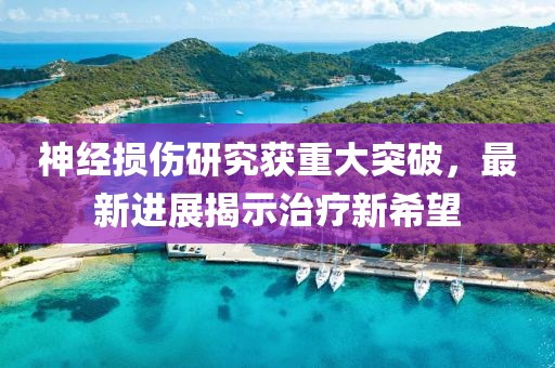 神经损伤研究获重大突破，最新进展揭示治疗新希望
