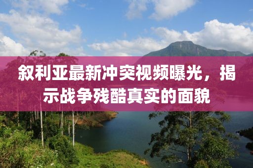 叙利亚最新冲突视频曝光，揭示战争残酷真实的面貌