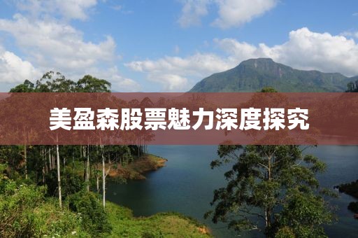 美盈森股票魅力深度探究