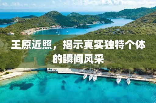 王原近照，揭示真实独特个体的瞬间风采