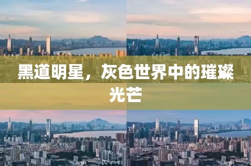 新闻动态 第502页