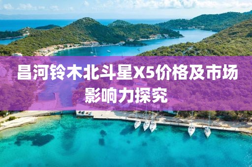 昌河铃木北斗星X5价格及市场影响力探究