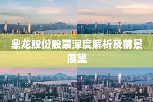 鼎龙股份股票深度解析及前景展望