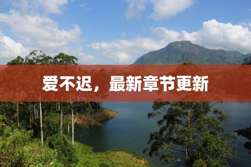 爱不迟，最新章节更新