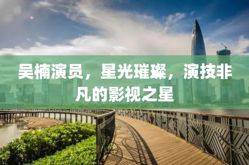 吴楠演员，星光璀璨，演技非凡的影视之星