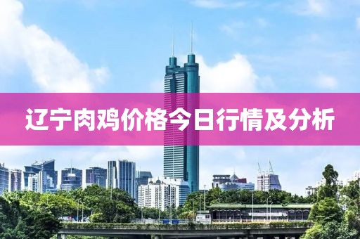 辽宁肉鸡价格今日行情及分析