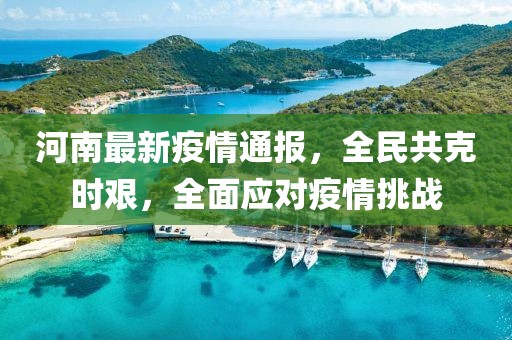 河南最新疫情通报，全民共克时艰，全面应对疫情挑战
