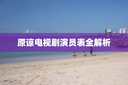 原谅电视剧演员表全解析