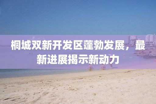 桐城双新开发区蓬勃发展，最新进展揭示新动力