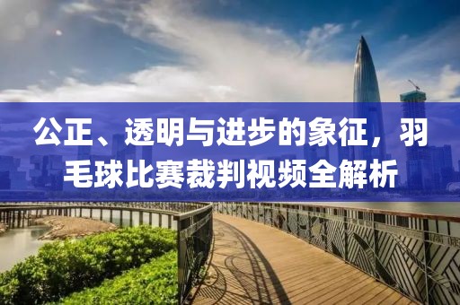 公正、透明与进步的象征，羽毛球比赛裁判视频全解析