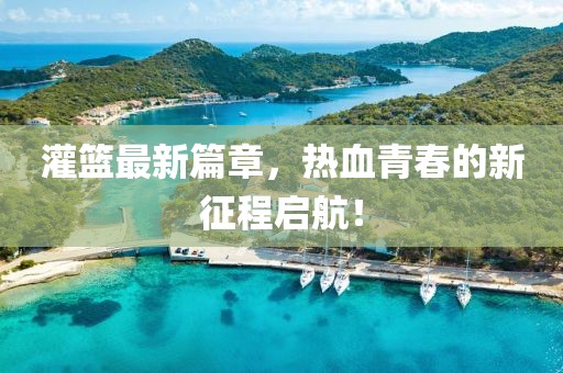 灌篮最新篇章，热血青春的新征程启航！