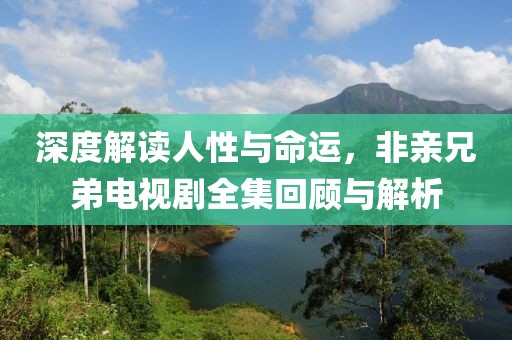 深度解读人性与命运，非亲兄弟电视剧全集回顾与解析