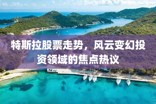 特斯拉股票走势，风云变幻投资领域的焦点热议