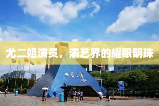 尤二姐演员，演艺界的耀眼明珠