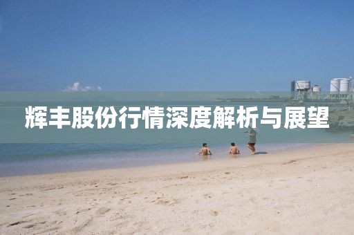 辉丰股份行情深度解析与展望