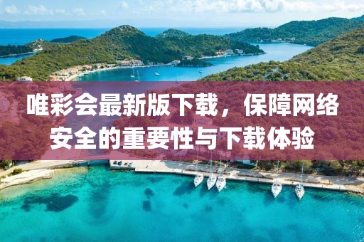 唯彩会最新版下载，保障网络安全的重要性与下载体验