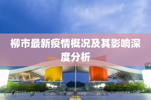 柳市最新疫情概况及其影响深度分析