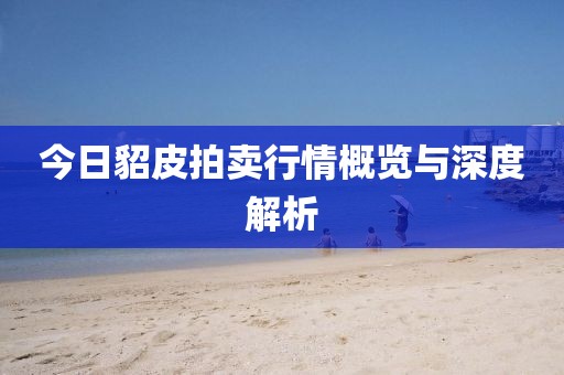 今日貂皮拍卖行情概览与深度解析