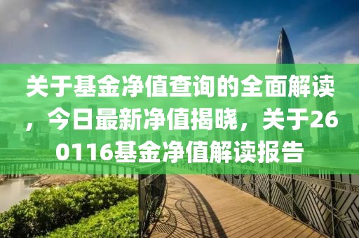 关于基金净值查询的全面解读，今日最新净值揭晓，关于260116基金净值解读报告