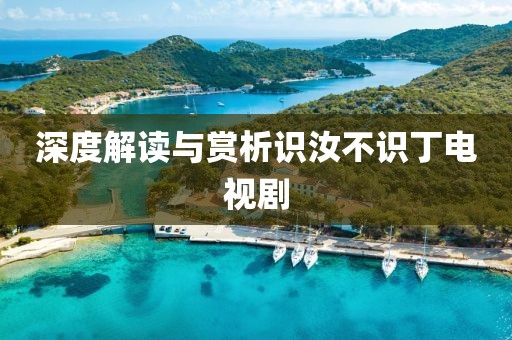 深度解读与赏析识汝不识丁电视剧