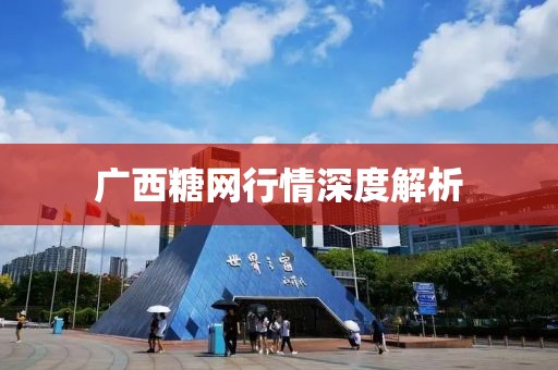 广西糖网行情深度解析
