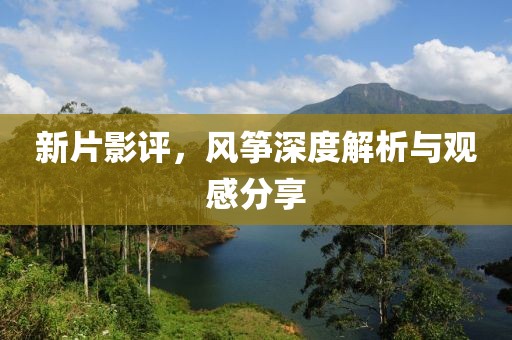 新片影评，风筝深度解析与观感分享