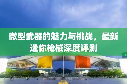 微型武器的魅力与挑战，最新迷你枪械深度评测
