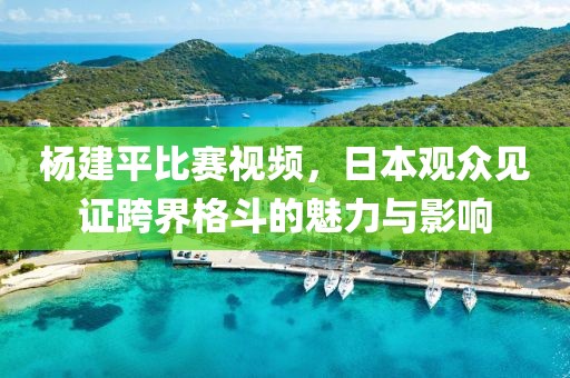 杨建平比赛视频，日本观众见证跨界格斗的魅力与影响