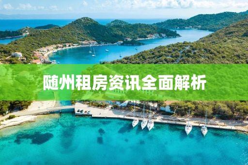 随州租房资讯全面解析