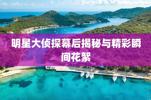 明星大侦探幕后揭秘与精彩瞬间花絮