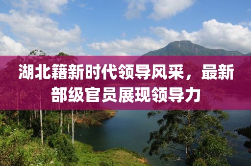 湖北籍新时代领导风采，最新部级官员展现领导力