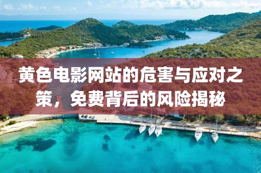 黄色电影网站的危害与应对之策，免费背后的风险揭秘