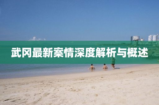武冈最新案情深度解析与概述